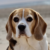 Profilbild von Test